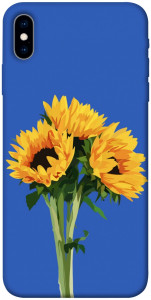 Чехол Bouquet of sunflowers для iPhone XS