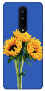 Чехол Bouquet of sunflowers для OnePlus 8