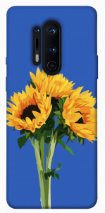 Чохол Bouquet of sunflowers для OnePlus 8 Pro