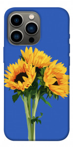 Чохол Bouquet of sunflowers для iPhone 13 Pro