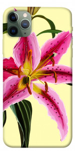 Чехол Lily flower для iPhone 11 Pro Max