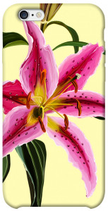 Чехол Lily flower для iPhone 6