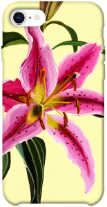 Чехол Lily flower для iPhone SE (2020)