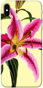 Чехол Lily flower для iPhone XS Max