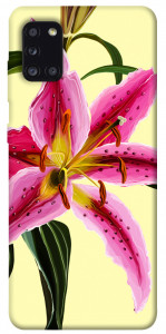 Чехол Lily flower для Galaxy A31 (2020)