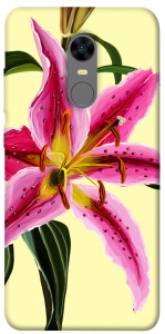 Чехол Lily flower для Xiaomi Redmi 5 Plus