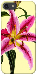 Чехол Lily flower для iPhone 8