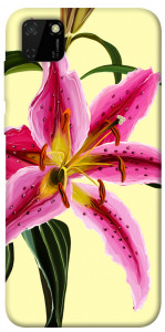 Чехол Lily flower для Huawei Y5p