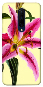 Чехол Lily flower для OnePlus 7 Pro