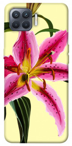 Чехол Lily flower для Oppo Reno 4 Lite