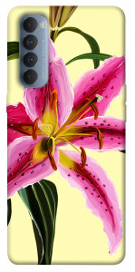 Чехол Lily flower для Oppo Reno 4 Pro
