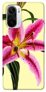 Чехол Lily flower для Xiaomi Poco F3