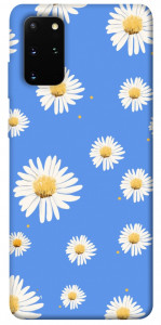 Чохол Chamomile pattern для Galaxy S20 Plus (2020)