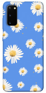 Чехол Chamomile pattern для Galaxy S20 (2020)