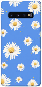 Чехол Chamomile pattern для Galaxy S10 (2019)