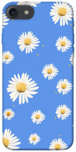 Чехол Chamomile pattern для iPhone 7 (4.7'')