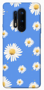 Чехол Chamomile pattern для OnePlus 8 Pro