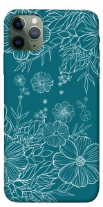 Чехол Botanical illustration для iPhone 11 Pro Max