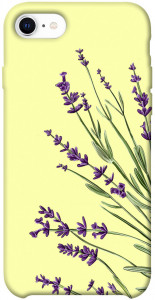 Чехол Lavender art для iPhone SE (2020)