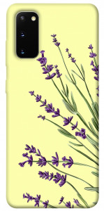 Чехол Lavender art для Galaxy S20 (2020)