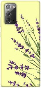 Чохол Lavender art для Galaxy Note 20