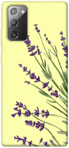 Чохол Lavender art для Galaxy Note 20