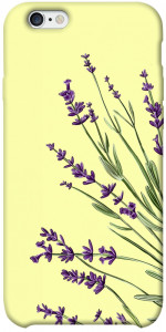 Чохол Lavender art для iPhone 6s plus (5.5'')