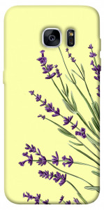 Чехол Lavender art для Galaxy S7 Edge