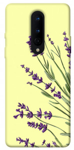 Чехол Lavender art для OnePlus 8
