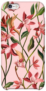 Чехол Floral motifs для iPhone 6 (4.7'')