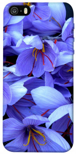Чехол Фиолетовый сад для iPhone 5