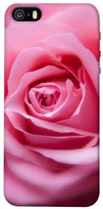 Чехол Pink bud для iPhone 5S