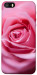 Чехол Pink bud для iPhone 5
