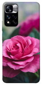 Чехол Роза в саду для Xiaomi Redmi Note 11 5G