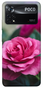 Чехол Роза в саду для Xiaomi Poco X4 Pro