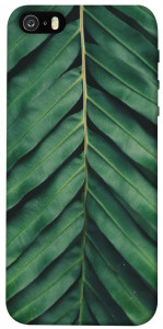 Чехол Palm sheet для iPhone 5S