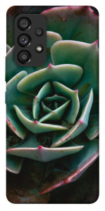 Чехол Эхеверия для Galaxy A53