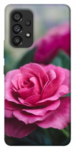 Чехол Роза в саду для Galaxy A53