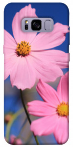 Чехол Розовая ромашка для Galaxy S8+