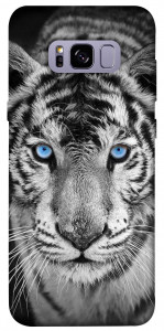 Чехол Бенгальский тигр для Galaxy S8+