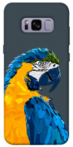 Чехол Попугай для Galaxy S8+
