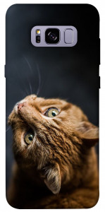 Чохол Рудий кіт для Galaxy S8+
