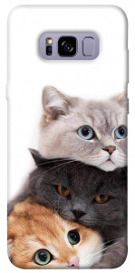 Чехол Три кота для Galaxy S8+
