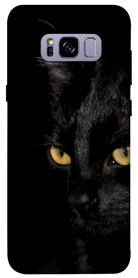 Чехол Черный кот для Galaxy S8+