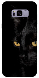 Чохол Чорний кіт для Galaxy S8+