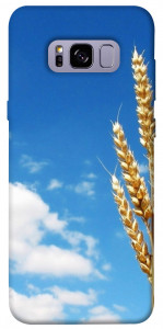 Чохол Пшениця для Galaxy S8+