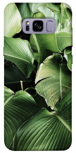 Чехол Тропическая листва для Galaxy S8+