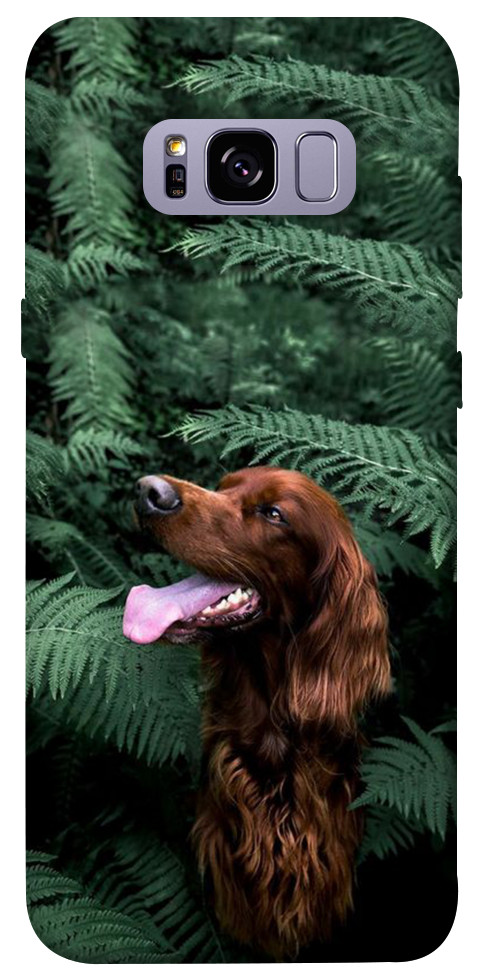 Чехол Собака в зелени для Galaxy S8+