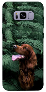 Чехол Собака в зелени для Galaxy S8+