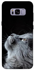 Чехол Cute cat для Galaxy S8+